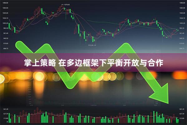 掌上策略 在多边框架下平衡开放与合作