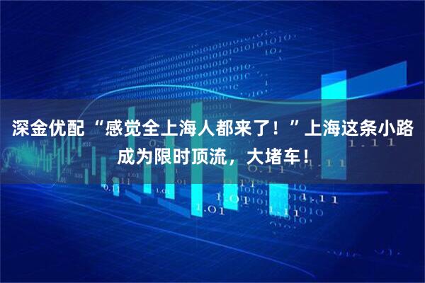 深金优配 “感觉全上海人都来了！”上海这条小路成为限时顶流，大堵车！
