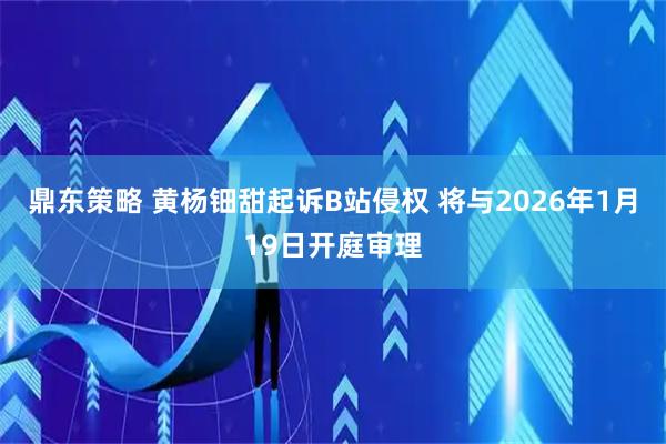 鼎东策略 黄杨钿甜起诉B站侵权 将与2026年1月19日开庭审理