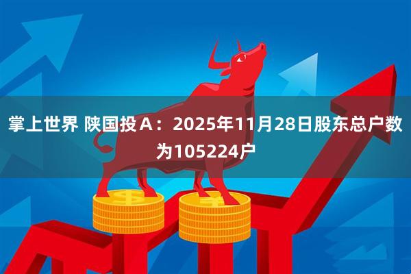 掌上世界 陕国投Ａ：2025年11月28日股东总户数为105224户